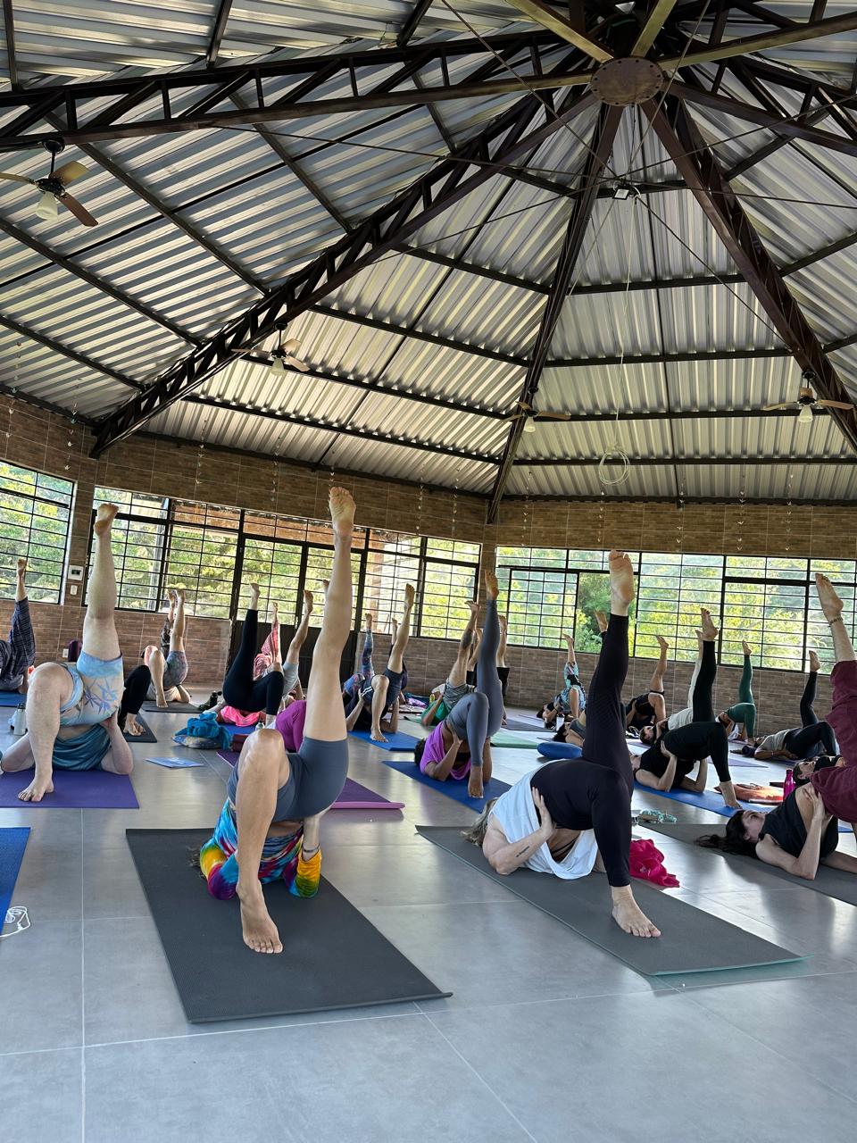 Ásanas invertidos no salão do Yoga Shivir