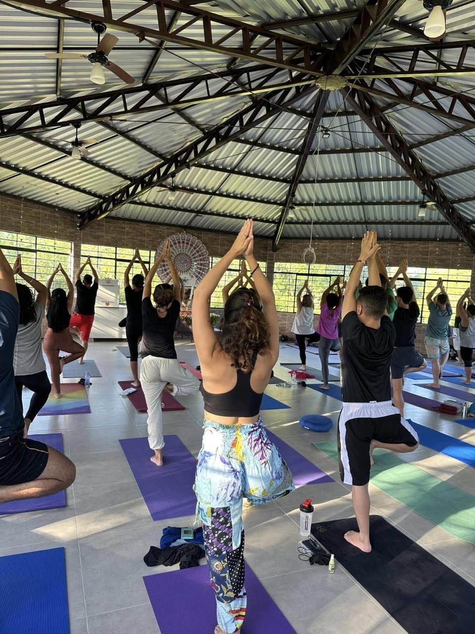 Vriksasana coletivo no salão do Yoga Shivir