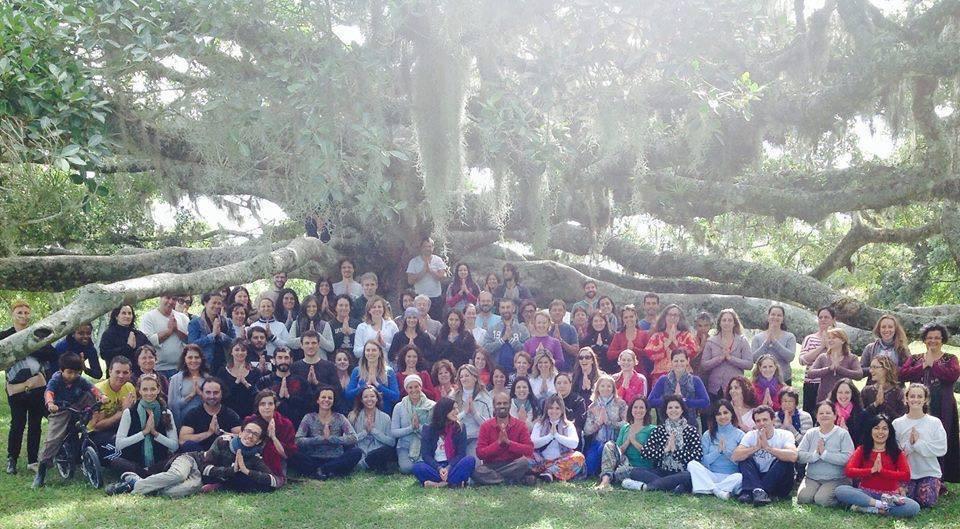 Encontro de todos os participantes sob a grande árvore