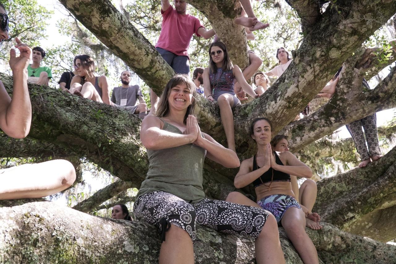 Praticantes em namaskar mudra sobre os galhos da figueira centenária